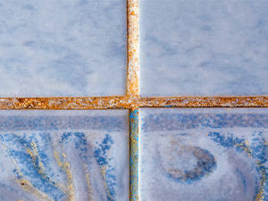 Discolored Grout in Shower